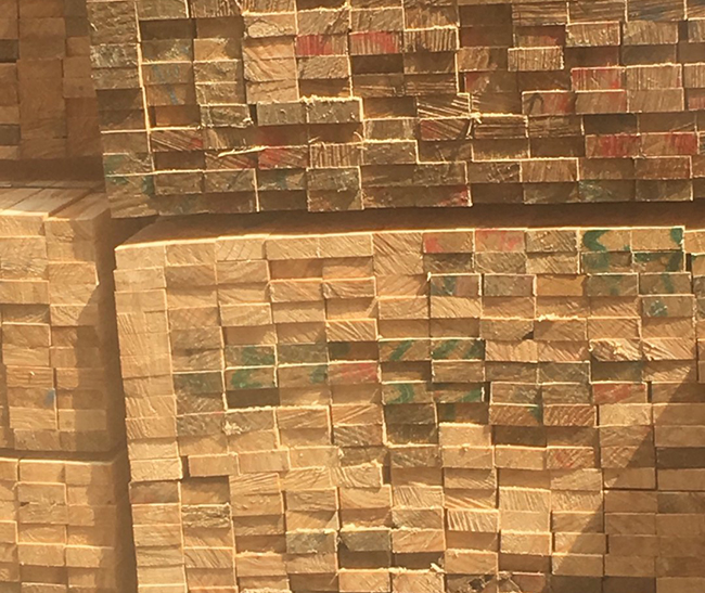 竞秀新西兰进口松木