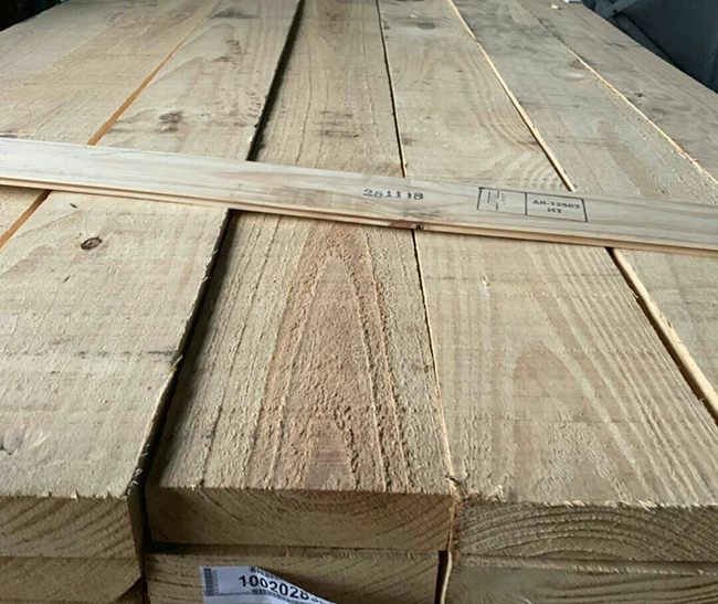 竞秀阿根廷松木